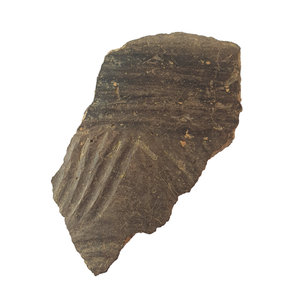 Cerámica 5