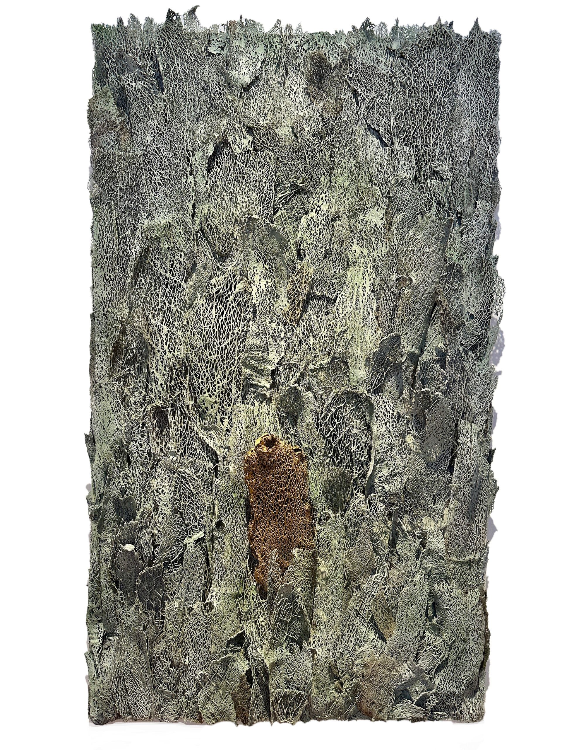 Natura 5, de Francesc Puig